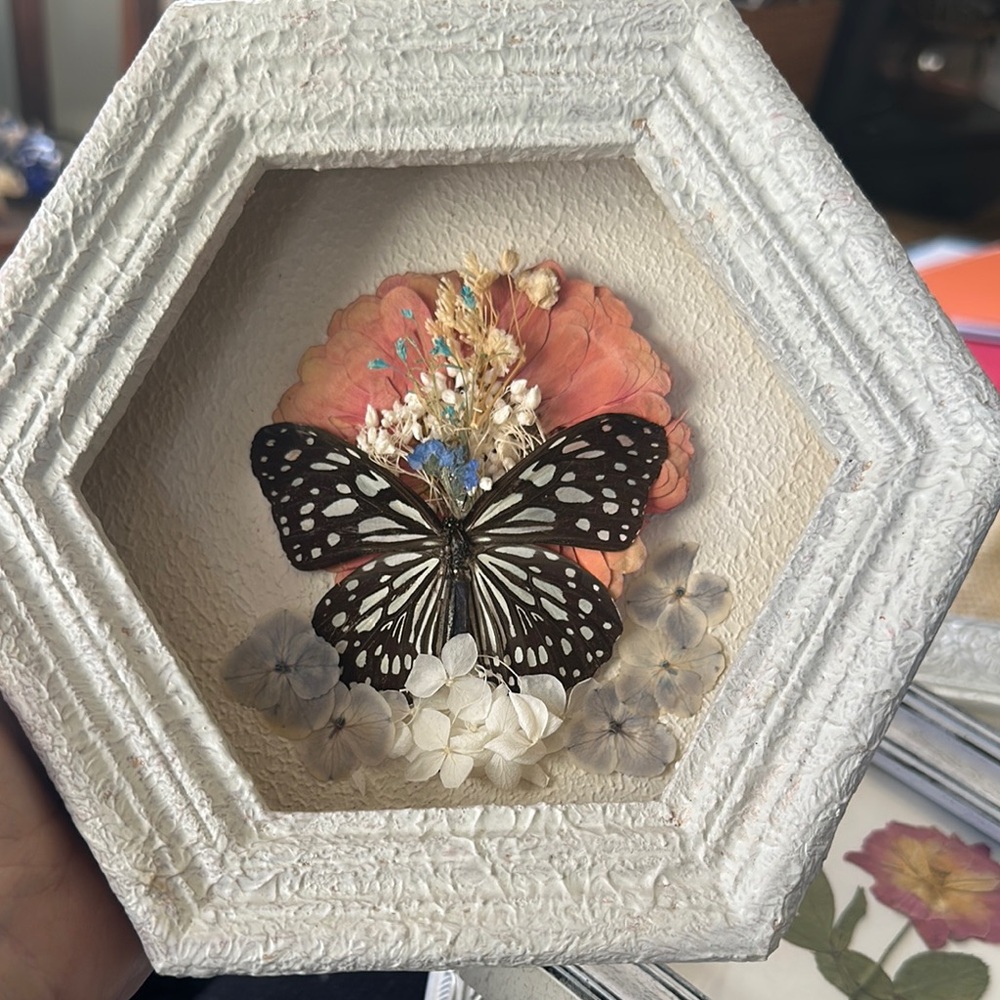 Framed Butterfly Art with Floral Accents
